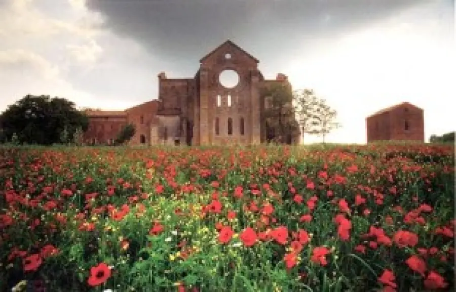 Viaggio in Toscana: abbazia di San Galgano con l' Eremo di Montesiepi (Siena)