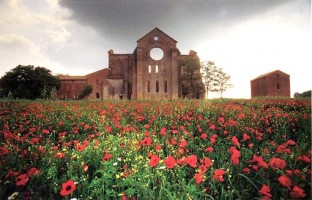 Viaggio in Toscana: abbazia di San Galgano con l' Eremo di Montesiepi (Siena)
