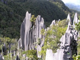 Viaggio nel Borneo (Malesia) a Sara Sarawak: il parco naturale di Gunung Mulu. Guida vacanza nel Borneo