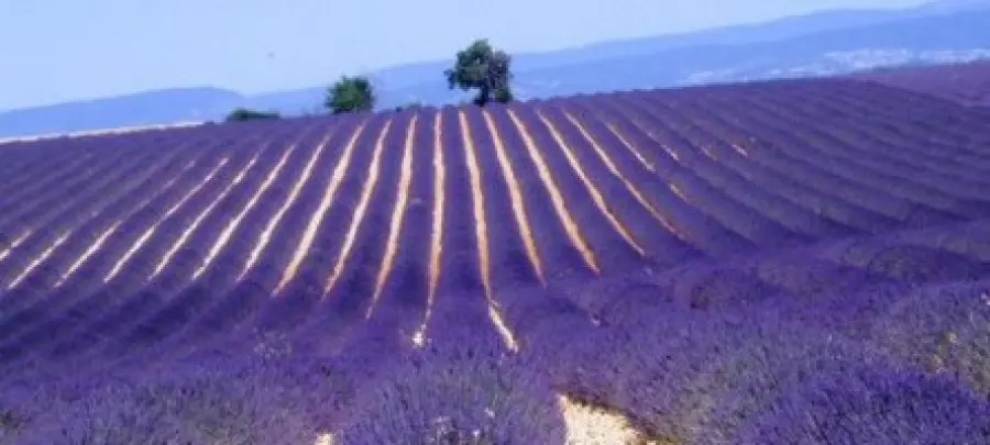 Viaggio in Provenza (Francia): da Marsiglia alla Camargue e i villaggi sull' acqua in Provenza