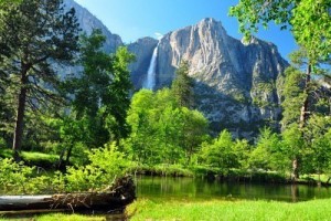 Viaggio in California (Stati Uniti) al Parco Nazionale di Yosemite fra le contee di Mariposa e Tuolumne