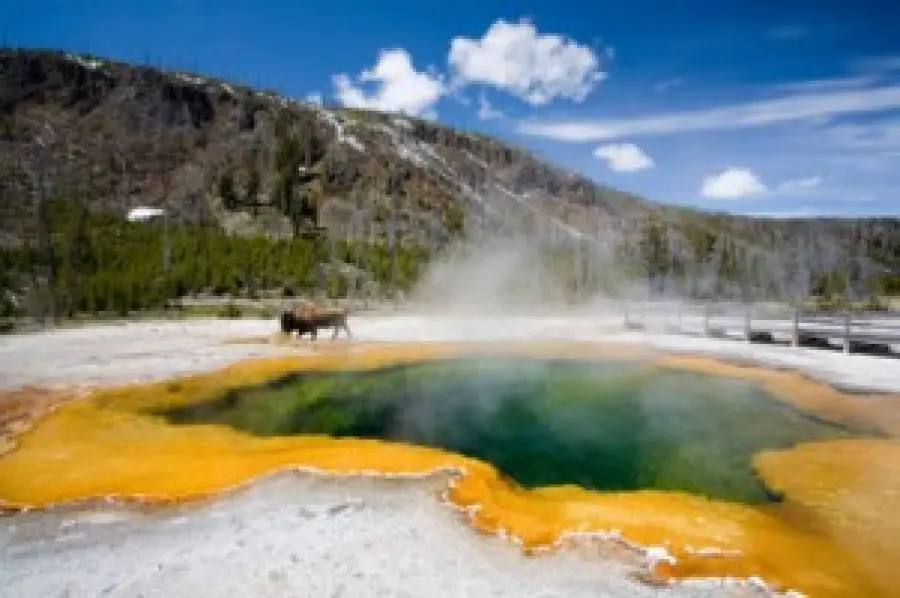 Stati Uniti: vacanza al Parco Nazionale di Yellowstone (Wyoming), il più antico parco nazionale del mondo