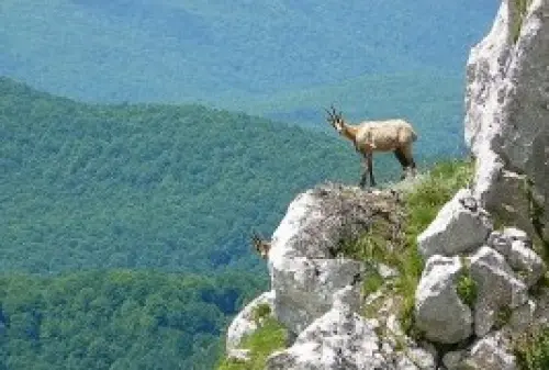 Vacanza nel Parco Nazionale d' Abruzzo, Lazio e Molise: escursioni e itinerari nel Parco Nazionale
