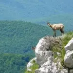 Vacanza nel Parco Nazionale d' Abruzzo, Lazio e Molise: escursioni e itinerari nel Parco Nazionale