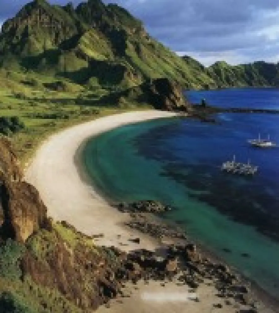 Viaggio nell' isola di Komodo (Indonesia): il Komodo National Park e il varano di Komodo