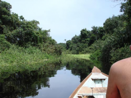 Viaggio in Brasile nella foresta dell' Amazzonia: le escursioni da fare in Amazzonia. Guida Vacanze