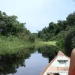 Viaggio in Brasile nella foresta dell' Amazzonia: le escursioni da fare in Amazzonia. Guida Vacanze