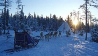 Vacanza sulla neve in Lapponia (Finlandia): lo sci a Yllas e il safari con i cani da slitta nel Parco Nazionale