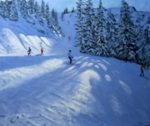 Sciare a Morzine-Avoriaz (Francia) nel comprensorio Porte du Soleil: piste da sci e slittino in notturna