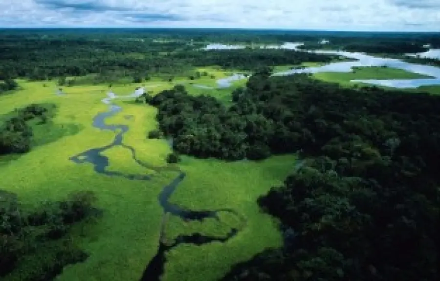 Viaggio in Amazzonia (Brasile-Sud America): vacanze nella foresta amazzonica del Brasile