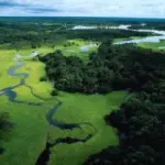 Viaggio in Amazzonia (Brasile-Sud America): vacanze nella foresta amazzonica del Brasile