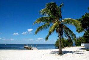 Itinerario di viaggio 8 giorni in Florida (Stati Uniti): Miami, isole Key, Fort Mayers, Tampa, Orlando