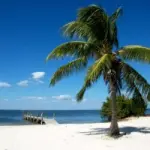 Itinerario di viaggio 8 giorni in Florida (Stati Uniti): Miami, isole Key, Fort Mayers, Tampa, Orlando