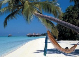 Offerta viaggio Maldive 2012: vacanza di 7 notti alle Maldive. Offerta viaggio Gennaio-Febbraio-Marzo 2012