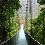 Vacanze in Costa Rica (America centrale): i parchi nazionali del Costa Rica - Guida Viaggio