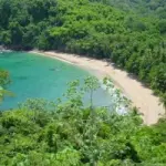 Vacanze invernali ai Caraibi: guida di viaggio a Trinidad e Tobago (America centrale caraibica)
