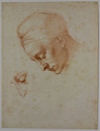 A Roma la mostra su Leonardo da Vinci e Michelangelo Buonarroti fino al 19 Febbraio 2012
