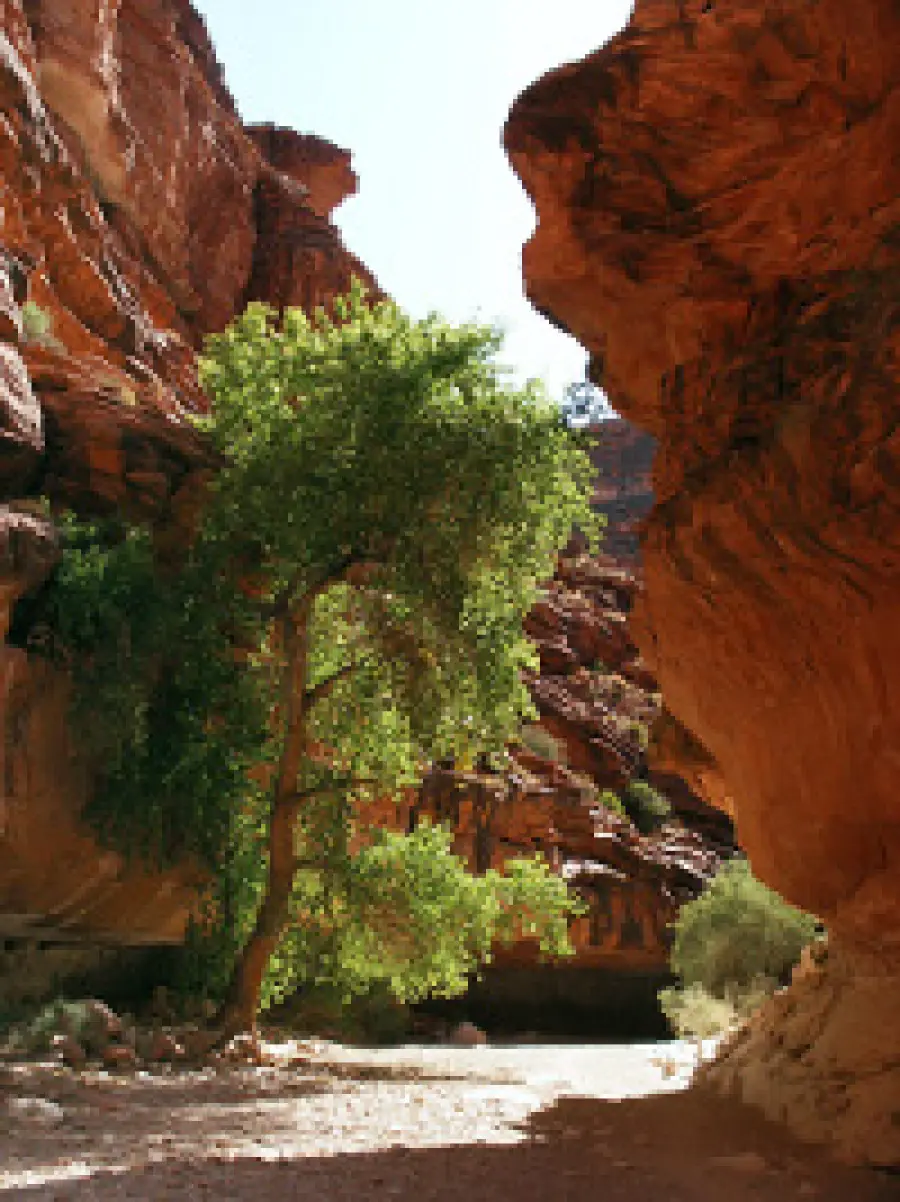 Vacanze Stati Uniti West Coast: la riserva indiana Havasupai Indian Reservation nell' Havasu Canyon
