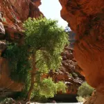 Vacanze Stati Uniti West Coast: la riserva indiana Havasupai Indian Reservation nell' Havasu Canyon