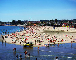 Viaggio Stati Uniti: Santa Cruz, San Juan Bautista, Salinas, Carmel Mission, Hearst Castle e Morro Bay