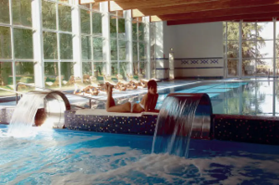 Weekend benessere alle Terme di Monticelli (Parma-Emilia Romagna): offerte vacanze fino al 31 Marzo 2012