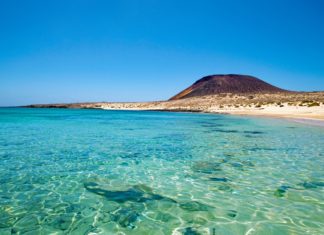 Canarie