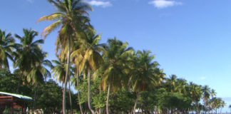 anguilla