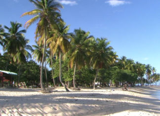 Anguilla, un’isola dove il tempo sembra essersi fermato: relax e sole in uno scenario unico anguilla
